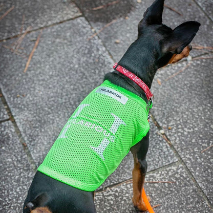 メッシュドッグウェア(DOG)