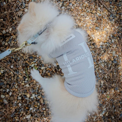 メッシュドッグウェア(DOG)