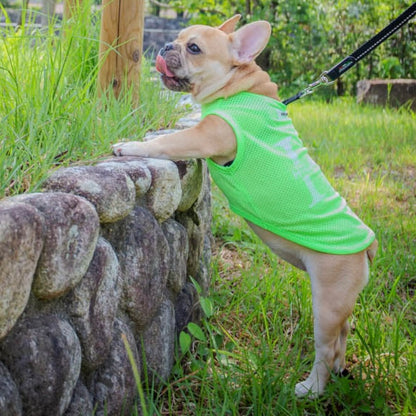 メッシュドッグウェア(DOG)