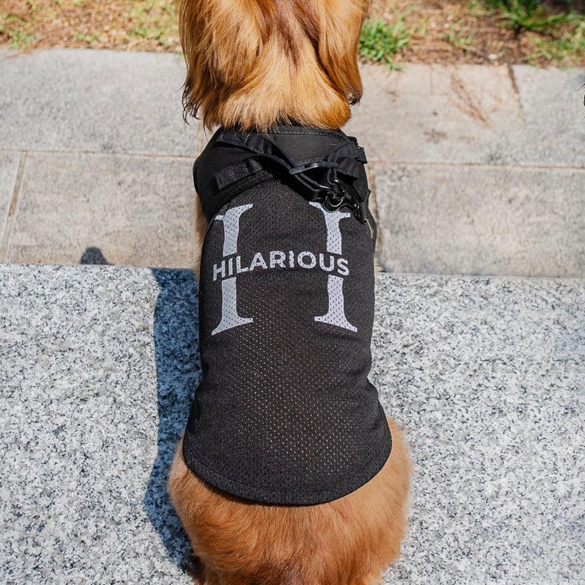 メッシュドッグウェア(DOG)